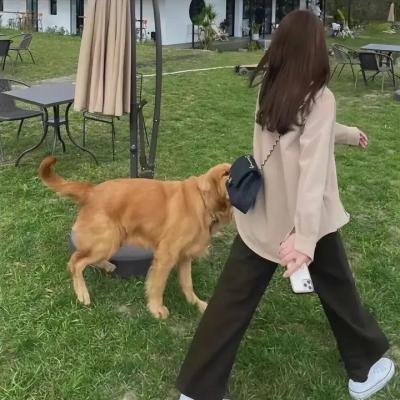 后备箱惊魂